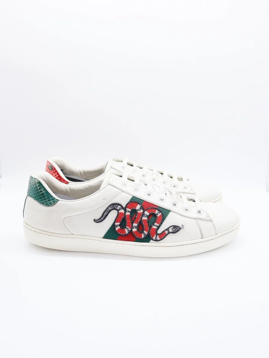 Gucci Ace Snake 