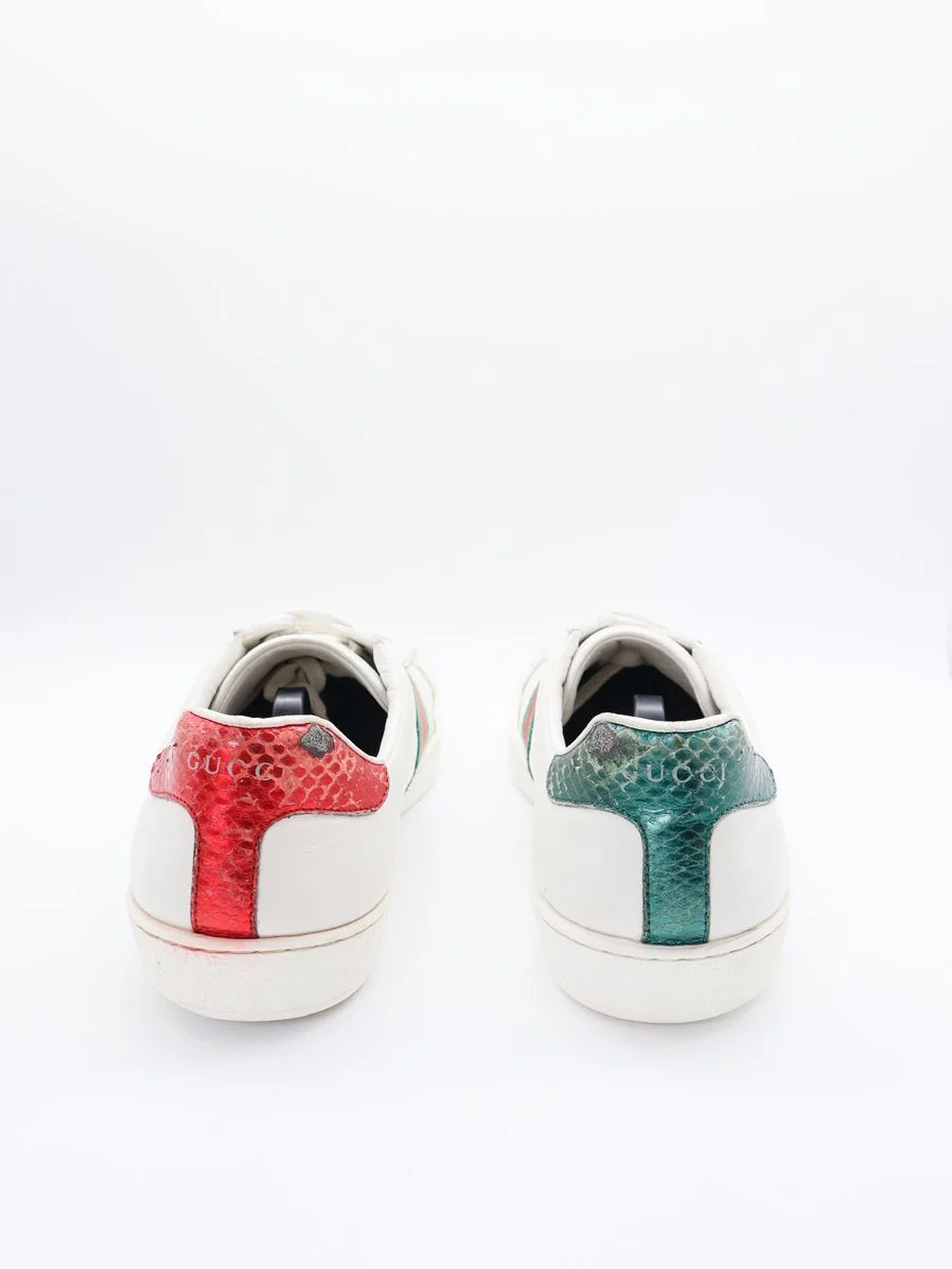 Gucci Ace Snake  - Imagen 2