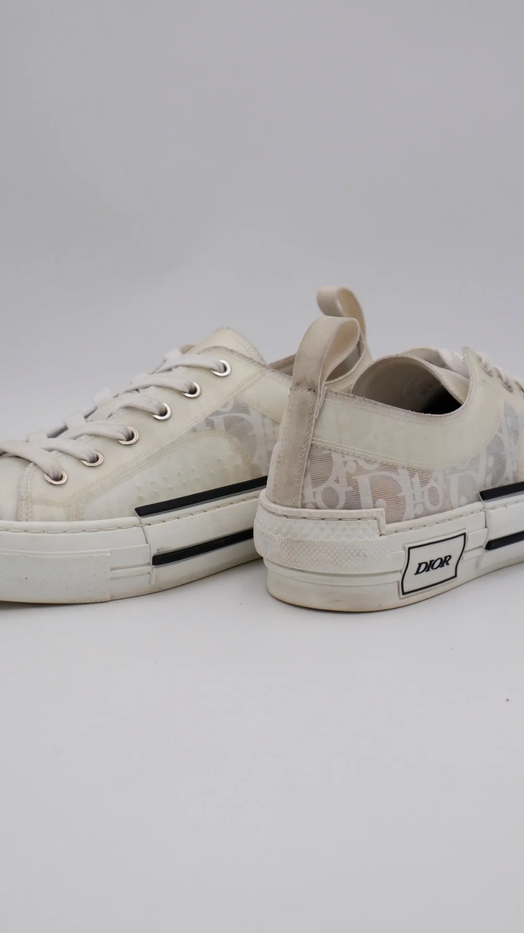 Dior B23 Low 5