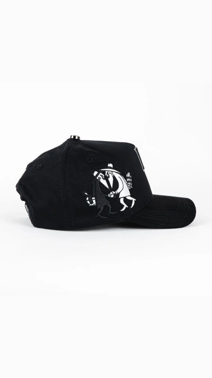Dreamer Hats 2