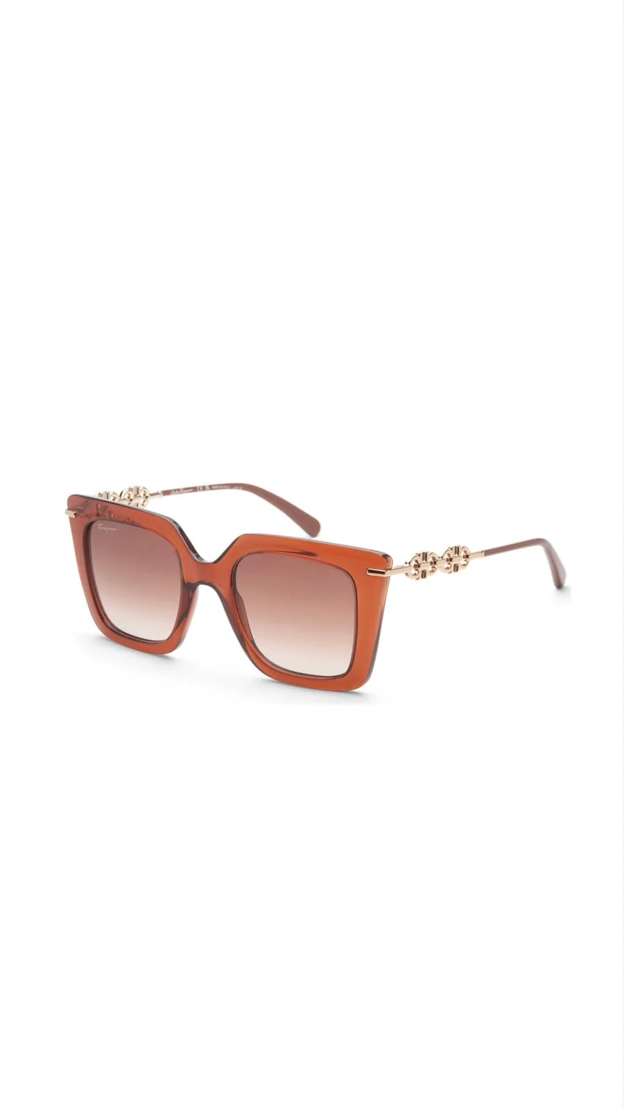 Lentes Ferragamo SF1041S-232-51 2