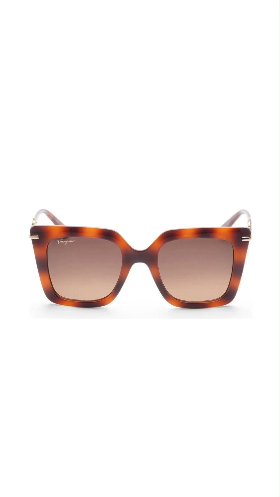 Lentes Ferragamo SF1041S-238