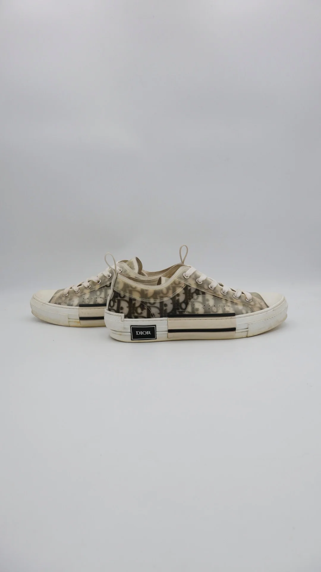 Dior B23 Low 4