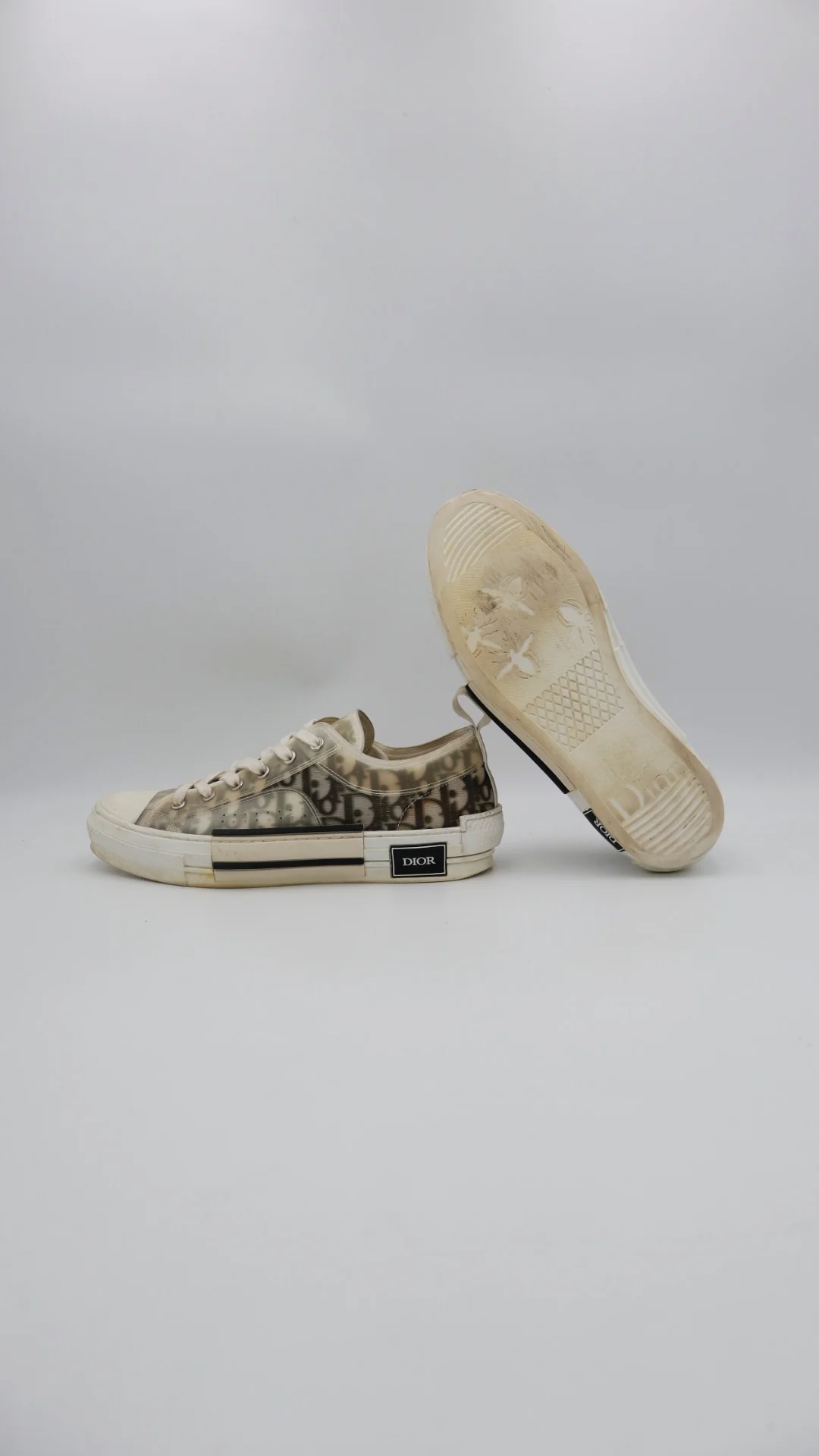 Dior B23 Low 5