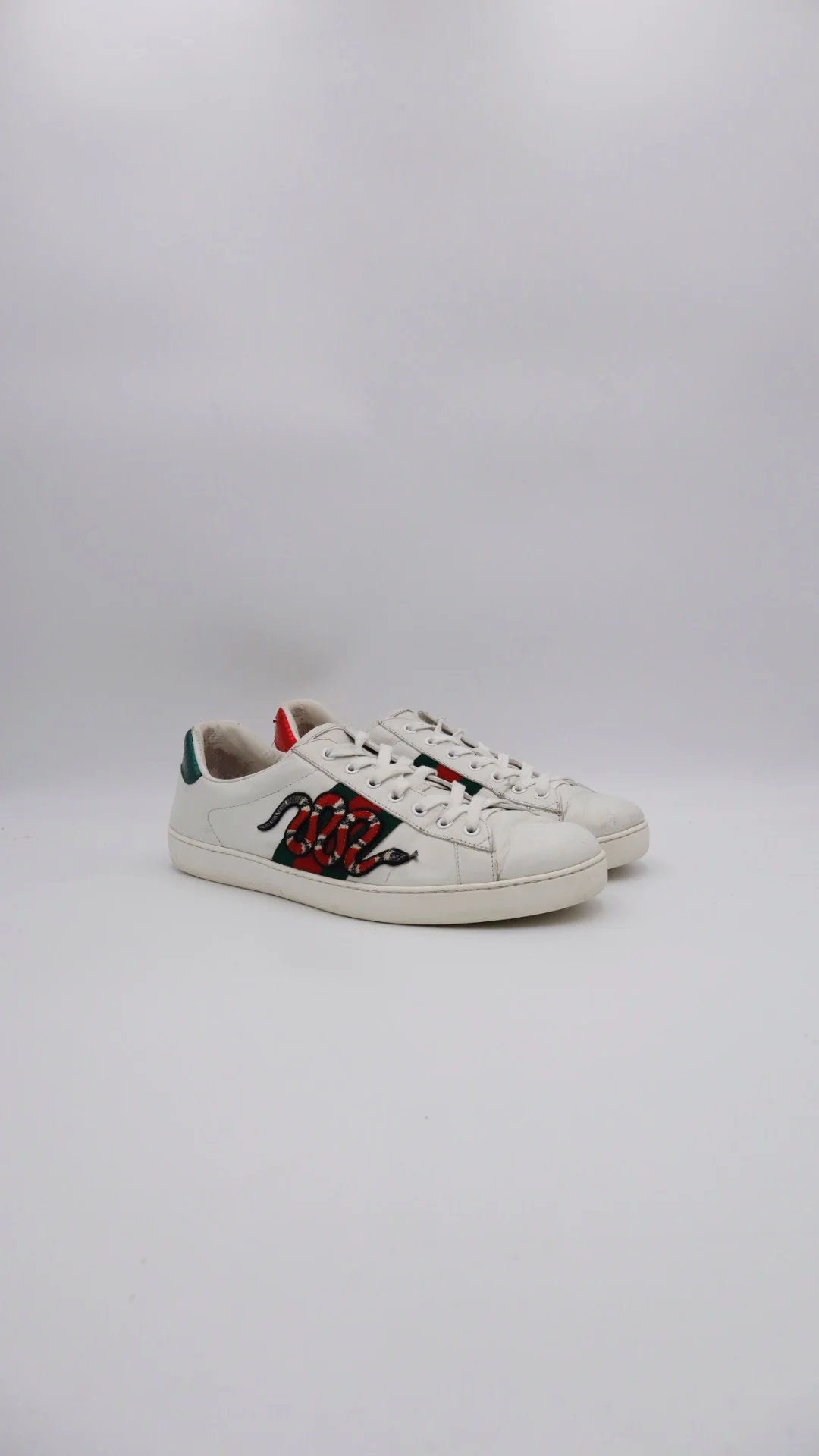 Gucci Ace Snake  2