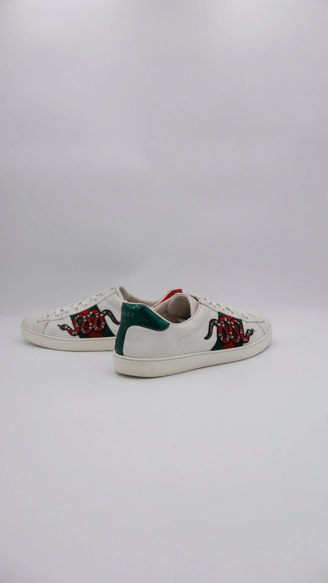 Gucci Ace Snake  4
