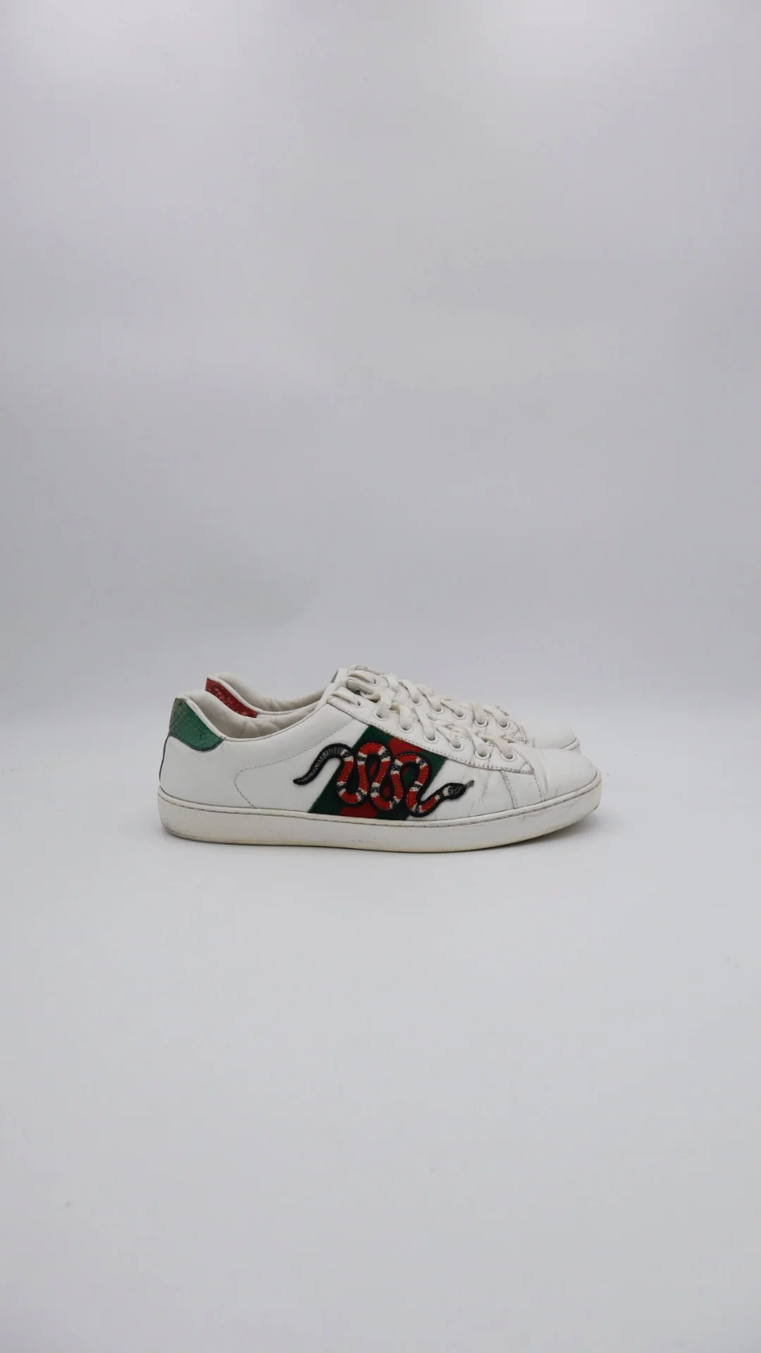 Gucci Ace Snake