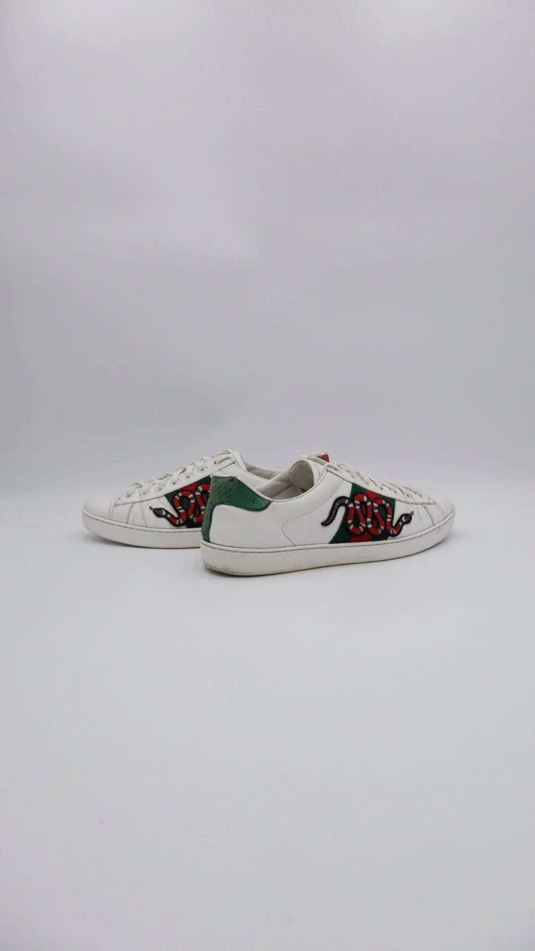 Gucci Ace Snake 4