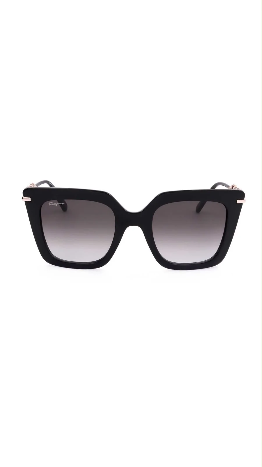 Lentes Ferragamo SF1041S-001-51