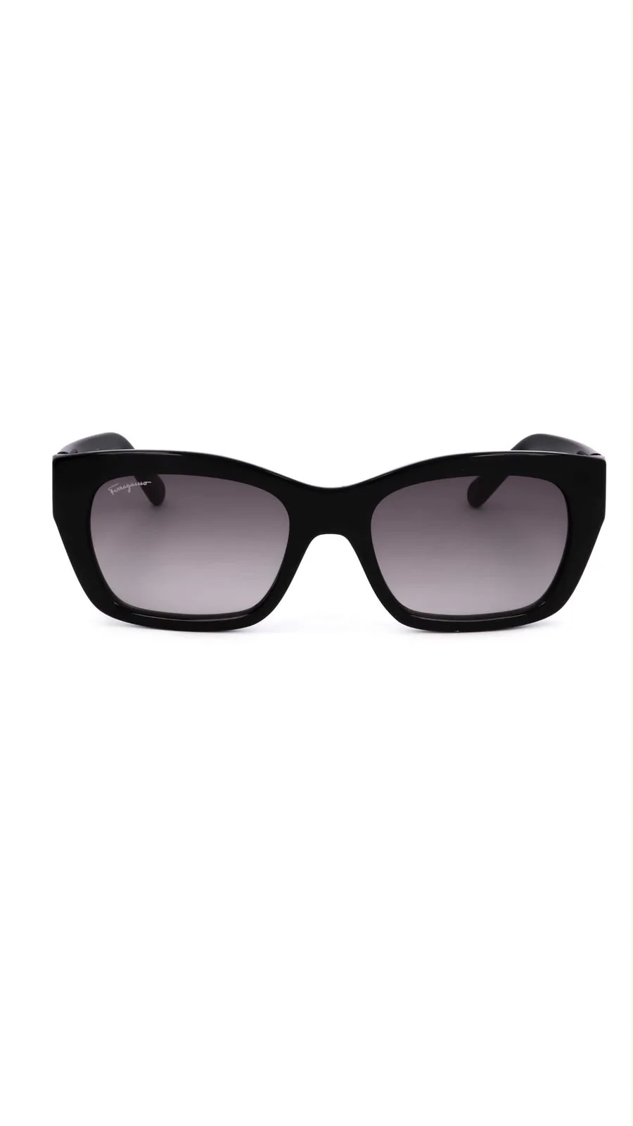 Lentes Ferragamo SF1021S-001